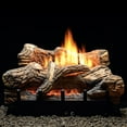 thumbnail image 1 of Empire VFDR24LBN 24 in. Ceramic Fiber Natural Gas Millivolt Fireplace - 5 Piece, 1 of 4