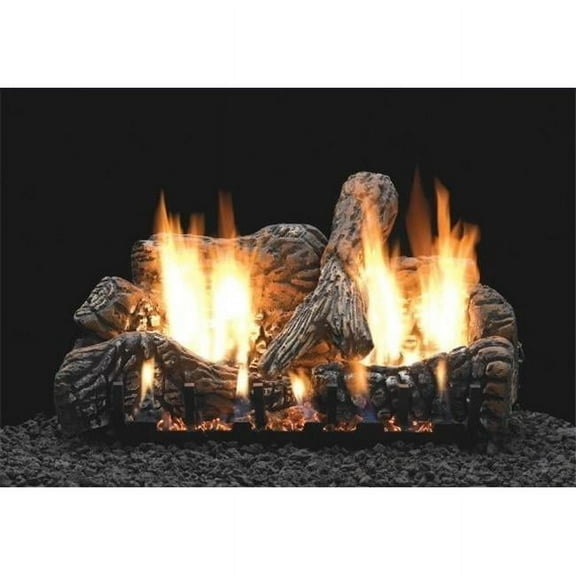 Empire VFSE18N 18 in. IP Slope Glaze Natural Gas Burner with T-Stat Remote Control - Burner Only