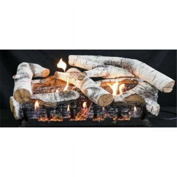 Empire White Mountain Hearth LS24CBS 24 in. Super Birch Burncrete Log Set - 6 Piece
