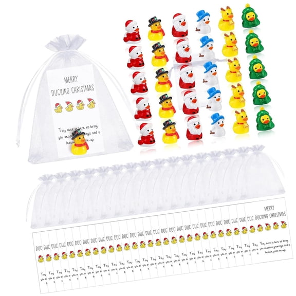 Employee Appreciation Gifts Bulk Thank You Gifts Resin Ducks Inspirational Cards Organza Bag for Christmas Graduation Office Employee Coworker Relationship End of Year (24 Pcs Set)