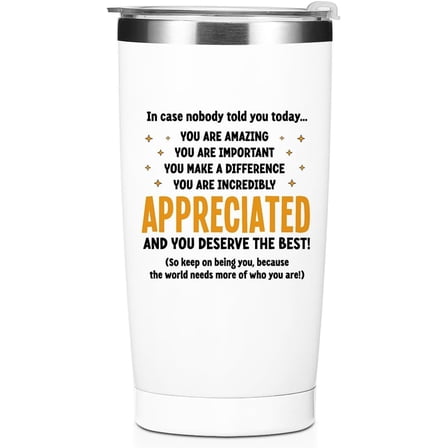 Employee Appreciation Gifts Tumbler Inspirational Gifts Water Bottle Double Wall Travel Coffee Mug Encouragement Stainless Steel Vacuum Insulated Thermal Cup for Women Colleague Birthday Christmas
