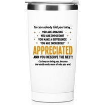 Employee Appreciation Gifts Tumbler Inspirational Gifts Water Bottle Double Wall Travel Coffee Mug Encouragement Stainless Steel Vacuum Insulated Thermal Cup for Women Colleague Birthday Christmas
