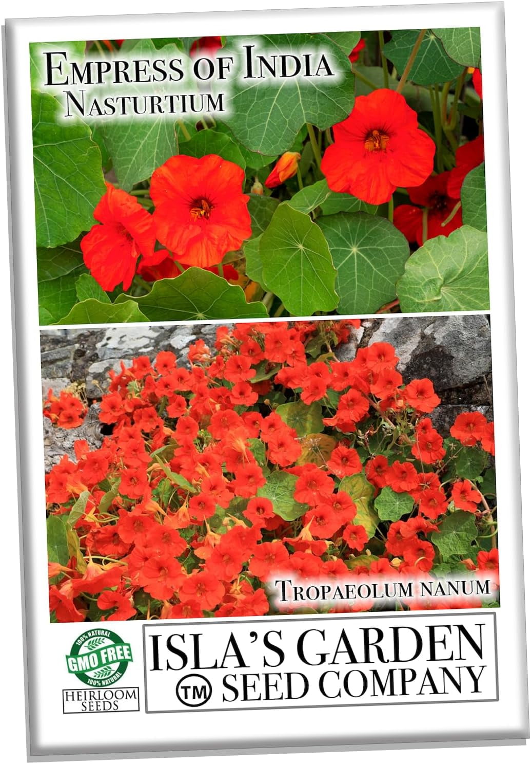 Empress of India Nasturtium Seeds (Tropaeolum nanum) - 50+ Non-GMO Heirloom Flower Seeds for Planting by Isla's Garden Seeds