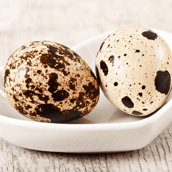 Empty Quail Eggs for Crafting Eggs have been hollowed out. Count of 10