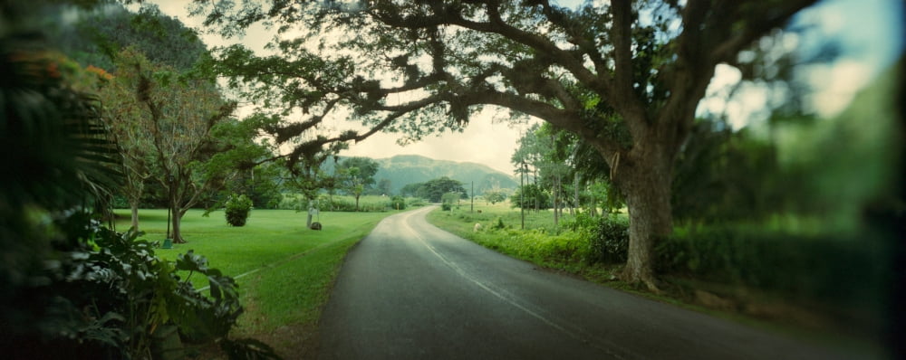 Empty road passing through Vinales Valley Vinales Cuba Canvas Art - Panoramic Images (6 x 15)