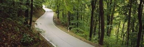 Empty road running through a forest Stuttgart Baden-Wurttemberg Germany Canvas Art - Panoramic Images (36 x 12)