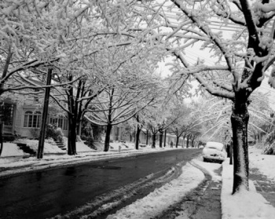 Empty town road in winter Canvas Art - (24 x 36)