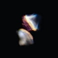 thumbnail image 1 of Emptyset - Borders - Electronica - CD, 1 of 1
