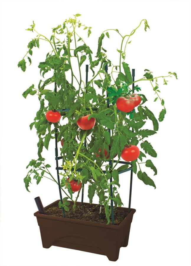 Emsco Compact Planter Grow Box Brown with Self-Watering System for ...