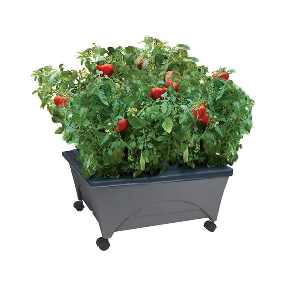 Emsco Emsco City Picker Raised-Bed Grow Box Plastic Slate