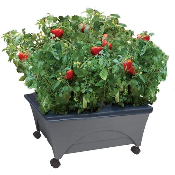 Emsco Group 20" x 24" x 9.75" Gray Plastic Raised Bed Planter Box with 4 Swivel Casters