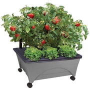 Emsco Group City Picker Raised Bed Grow Box Self Watering and Improved Aeration Mobile Unit with Casters - Slate