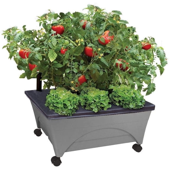 Emsco Group City Picker Raised Bed Grow Box Self Watering and Improved Aeration Mobile Unit with Casters - Slate