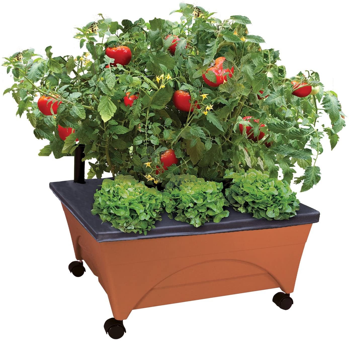 Terracotta Resin Elevated Garden Box with Casters