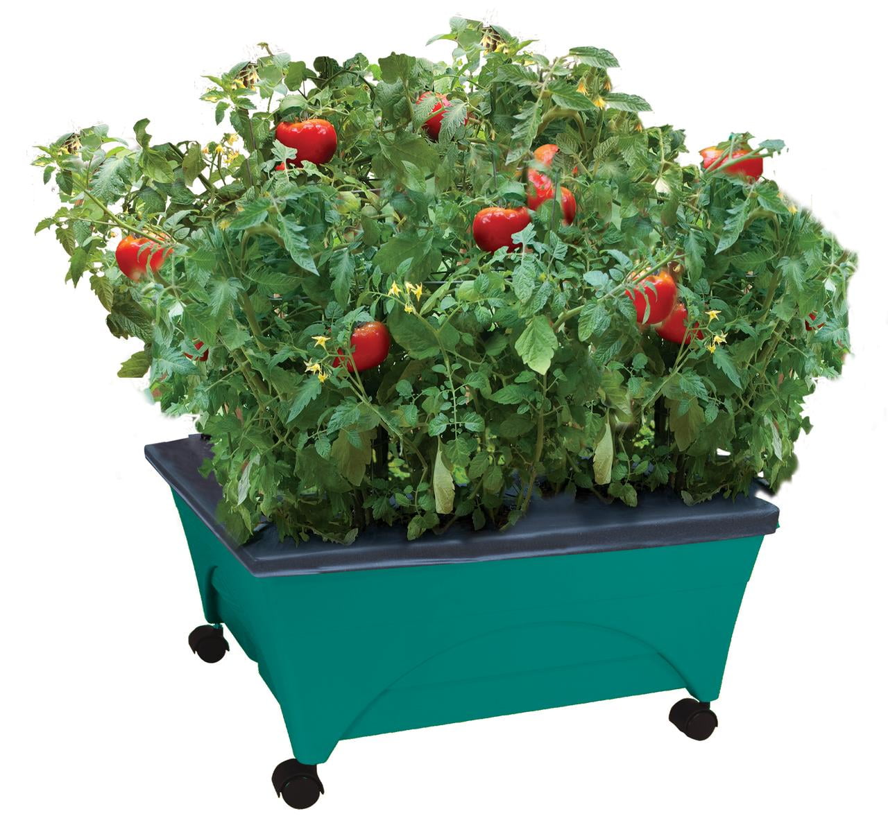 Emsco Group-  Little Pickers Garden Grow Box  Raised Bed with Self-Watering, Improved Aeration, Mobile Casters - Teal