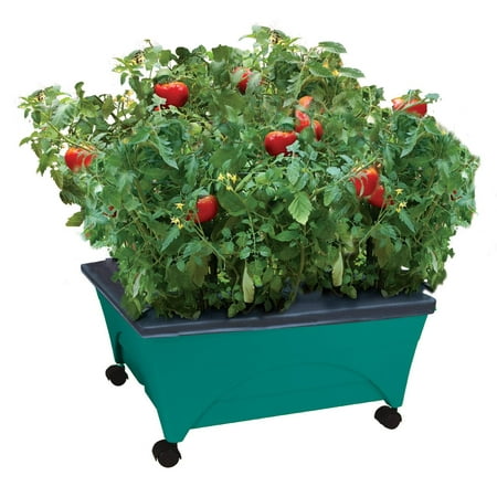 Emsco Group- Little Pickers Garden Grow Box Raised Bed with Self-Watering, Improved Aeration, Mobile Casters - Teal