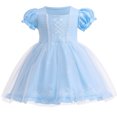 thumbnail image 1 of Emy Dola 1-6 Years Girls Princess Tutu Dress Toddler Girl Fairy Tulle Dress Puff Sleeve Party Dress Up Cosplay Costume, 1 of 4