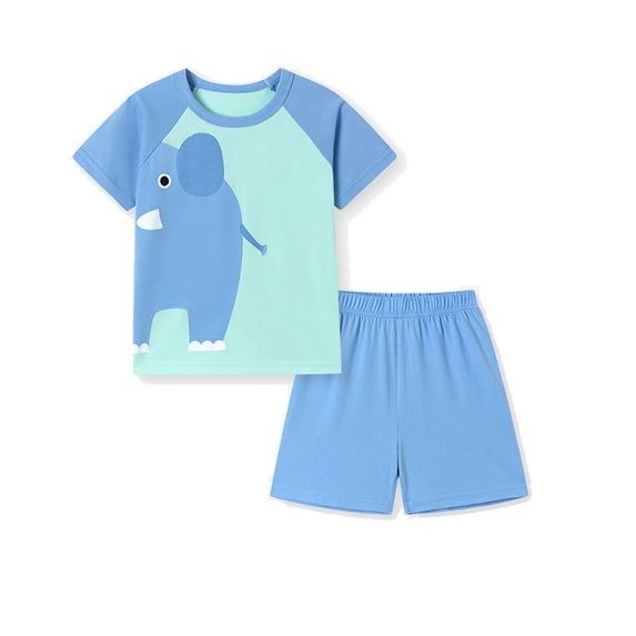 Emy Dola Toddler Baby Boy Summer Clothes Cute Graphic T Shirt Elastic Waist Pockets Shorts Set 2 Piece Short Sleeve Outfit