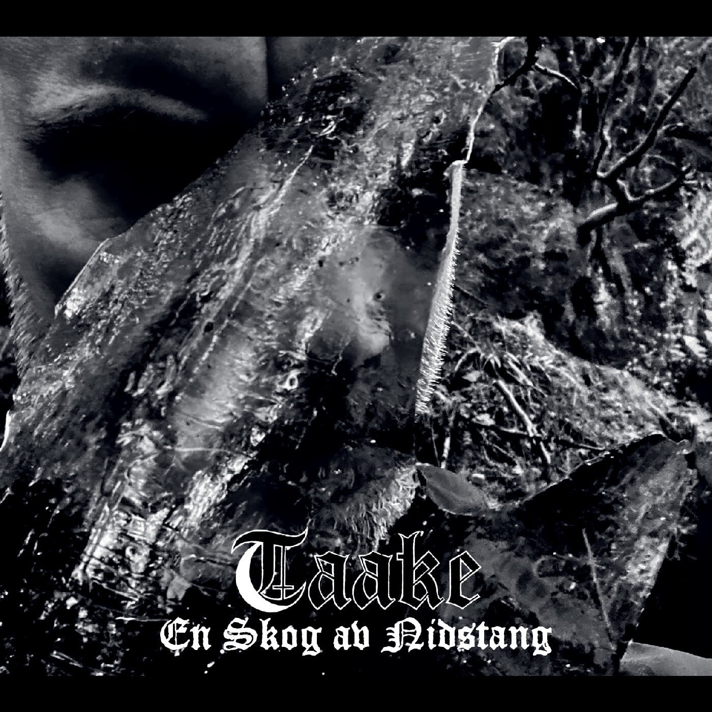 Taake - En Skog Av Nidstang - Music & Performance - Vinyl