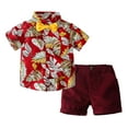 thumbnail image 1 of EnJoCho 3 6 Boy Fall Clothes Children's Clothing Summer Boys Suit Short Sleeve Floral Shirt Shorts Suit Children Boy Holiday Party Outfits 1-2 Years, 1 of 9