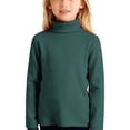 thumbnail image 1 of EnJoCho Children Unisex Solid Color T-Shirt Kids School Unifor𝗆 Long Sleeve Turtleneck T-Shirt Boys Long Sleeve Thermal Turtle Neck Sweater for Kids 4T-16 Years Soft Warm Under Shirts, 1 of 4