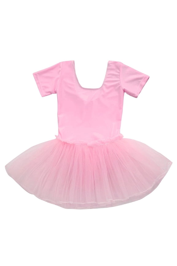 Children’s Ballet Tutu Skirt Layered Tulle Dance Training Dress Short Sleeve Performance Skirt for Swan Show Recital