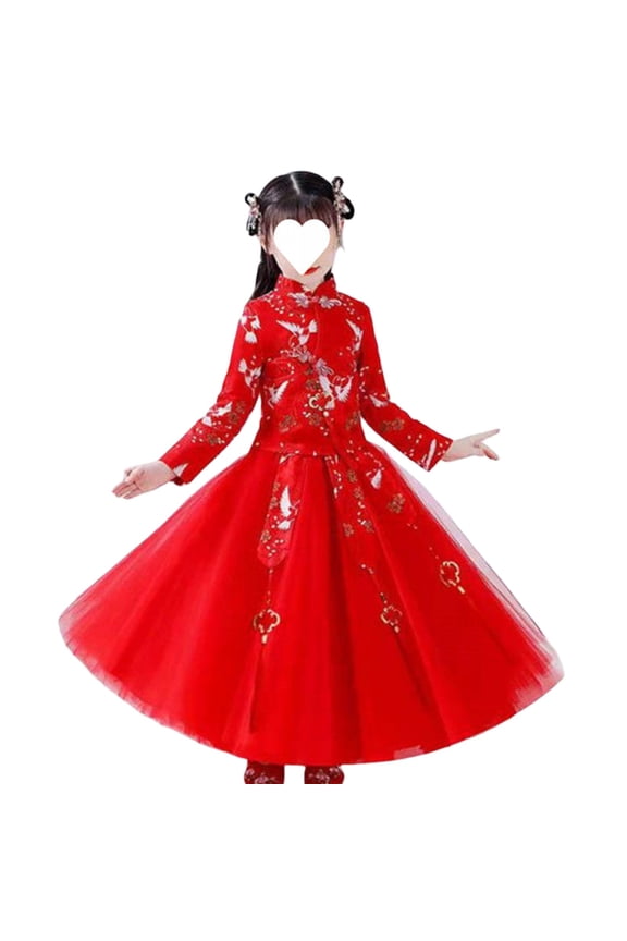Girls Chinese Traditional Dress New Year 𝖥loral Embroidered Chinese Knot Mesh Sleeve Tutu Tulle Skirt Set Traditional Chinese Dress 𝖥loral Embroidered Dress