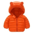 thumbnail image 1 of EnJoCho Toddler Fall Jackets Boys 5t Kids Coat Girl Outdoor Baby Boys Thick Windproof Warm Jacket Toddler Hooded Boys Coat&jacket Little&Big Kids Boy or Girl Winter Fall Jackets&Coat Clearance, 1 of 2