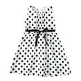 thumbnail image 1 of EnJoCho toddler Kids Dress Girls Sleeveless Dot Print Belt Dress Princess Dresses Casual Clothes Baby Kids Summer Casual Party Dresses 2 Years, 1 of 9