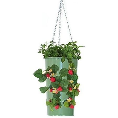 Enameled Galvanized Hanging Strawberry, Floral Planter - AppleGreen