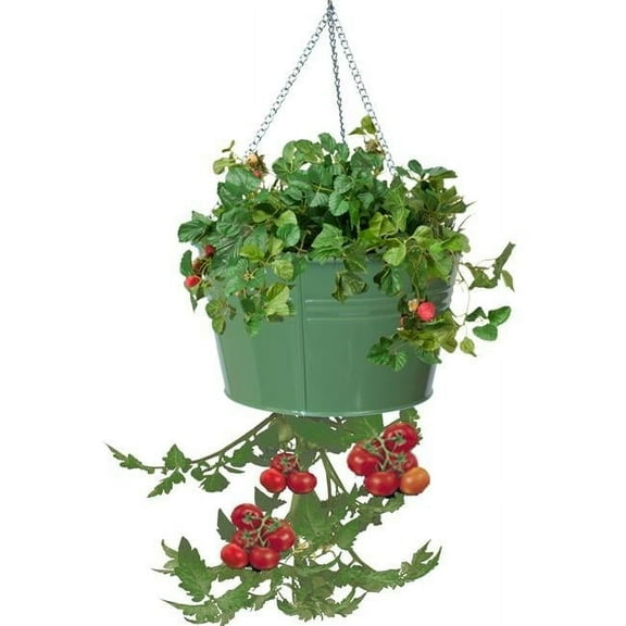Enameled Galvanized Hanging Strawberry, Floral Planter - Sage