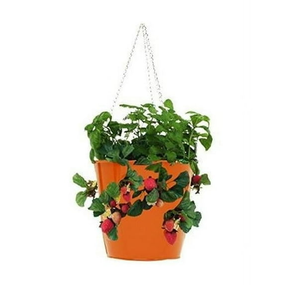 Enameled Galvanized Steel Strawberry, Herb & Floral Hanging Planter, Tangerine