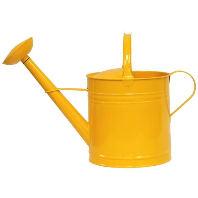 Enameled Galvanized Steel watering can 2.5 Gal.