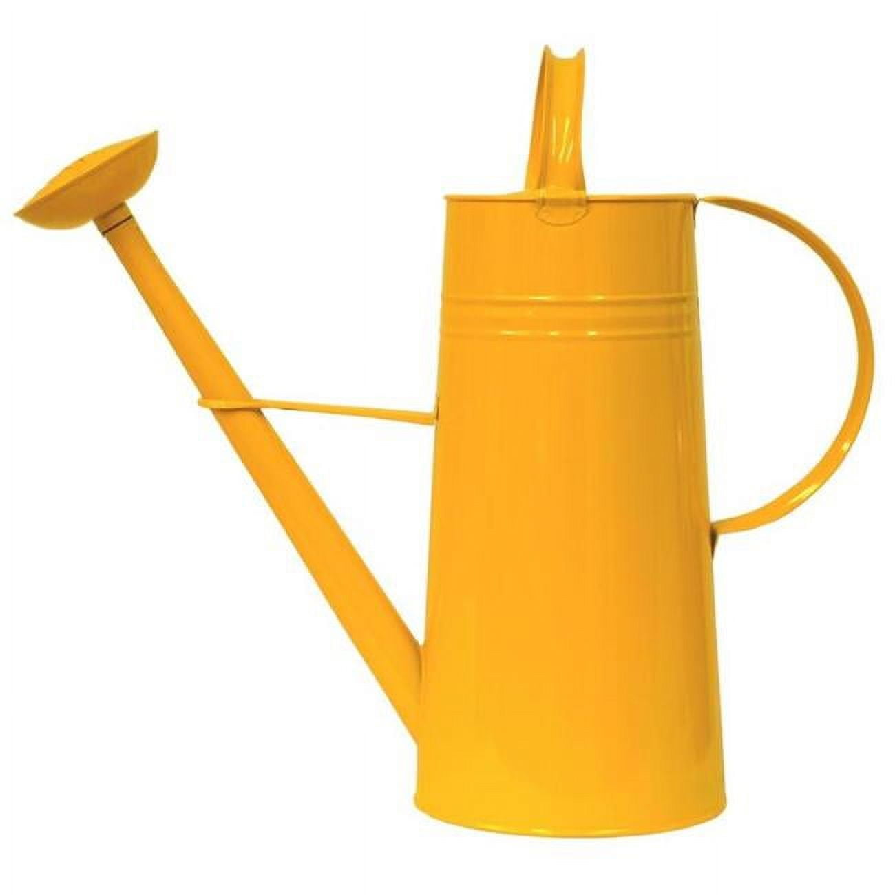 Enameled Galvanized Steel watering can 2.5 gal.