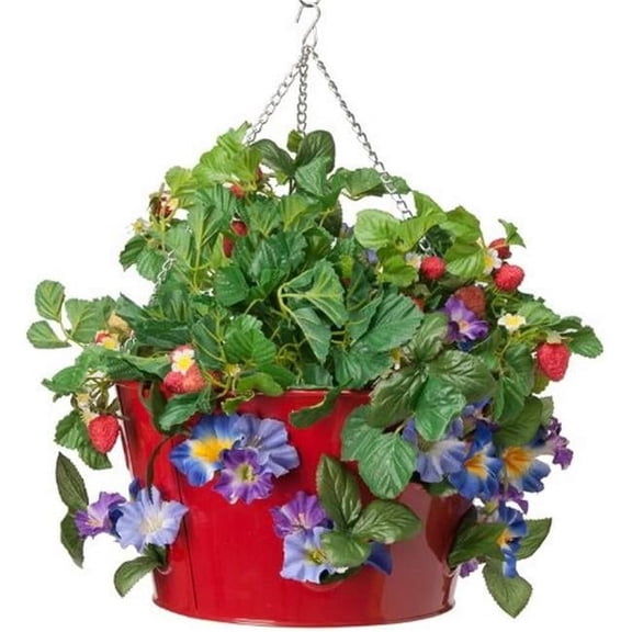 Enameled Galvanized Strawberry Planter - Red - 14 x 8 in. - Durable Design