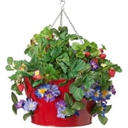 Enameled Galvanized Strawberry Planter - Red - 14 x 8 in. - Durable Design