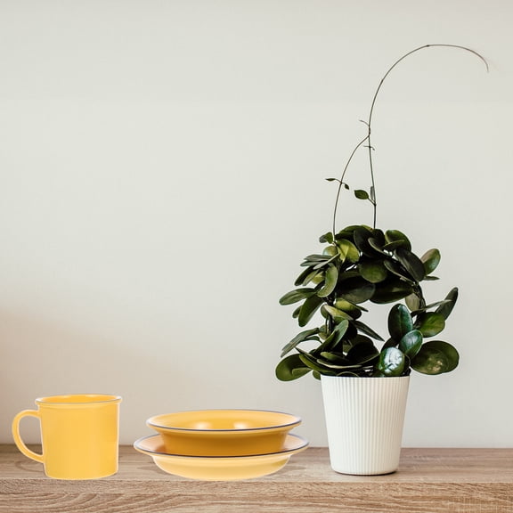 Enamelware Bowls Dish Cup Set Vintage Flatware House Decorations for Home Accents Tea