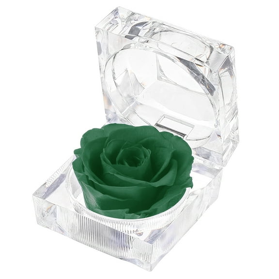 Enchante Preserved Forever Rose Acrylic Ring Box, Wedding Anniversary Birthday Valentine's Day Mother's Day Gift Eternity Flower, Green