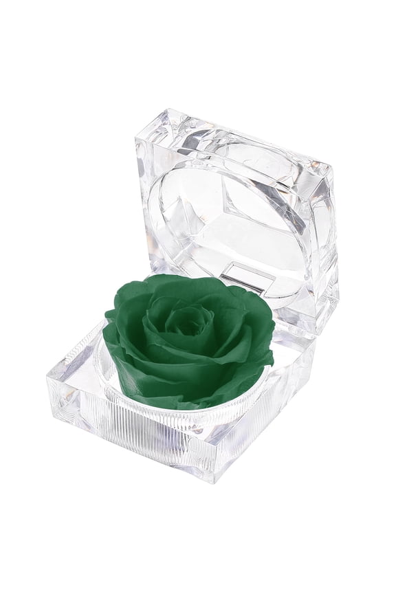 Preserved Forever Rose Acrylic Ring Box, Wedding Anniversary Birthday Valentine's Day Mother's Day Gift Eternity Flower, Green