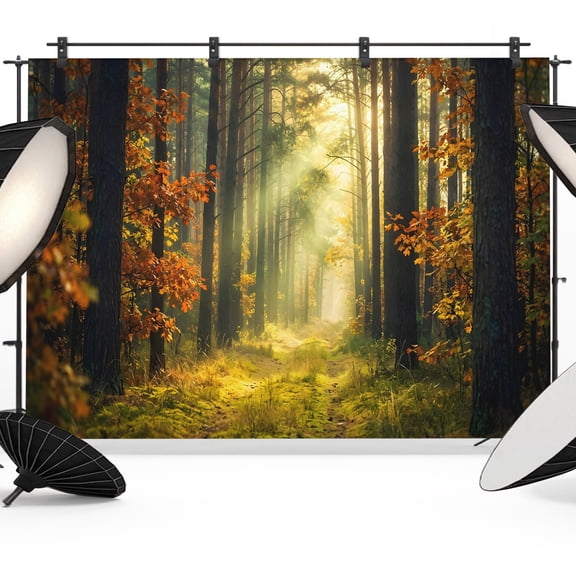 Enchanted Forest Backdrops for Photography, Fall Nature Sunlight Sunbeams Path Fabric Photo Background Sturdy Studio Props for Photo Studio, Video Recording, Booth & Photoshoot 7x5ft