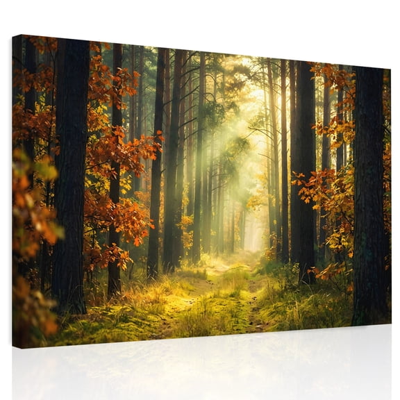 Enchanted Forest Canvas Print Wall Art, Fall Nature Sunlight Sunbeams Path Wall Decor Modern Artwork Paintings Pictures for Living Room Framed and Stretched Ready to Hang 24" x 32"