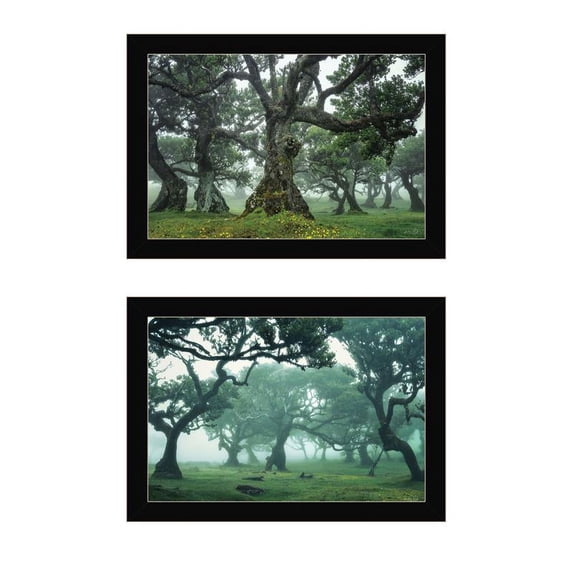 Enchanted Forest Collection by Martin Podt Print Wall Art Wood Multi-Color