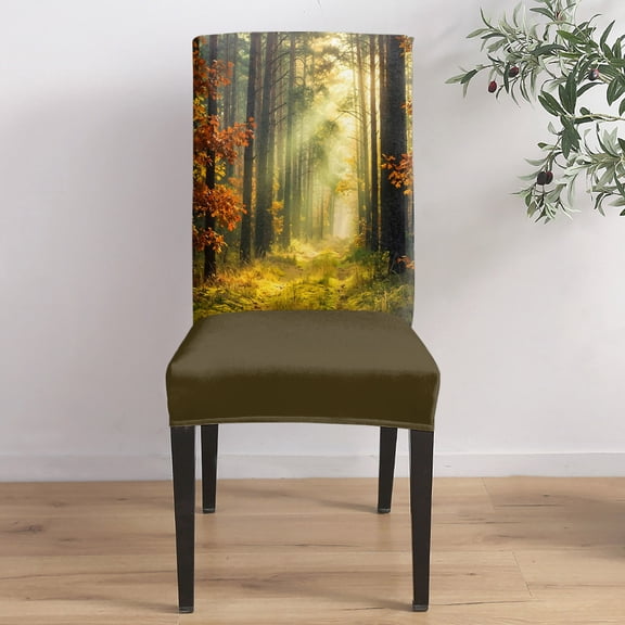 Enchanted Forest Dining Chair Covers Set of 8, Fall Nature Sunlight Sunbeams Path Chair Covers for Dining Room Removable Seat Protectors Slipcovers for Home Party Wedding Banquet