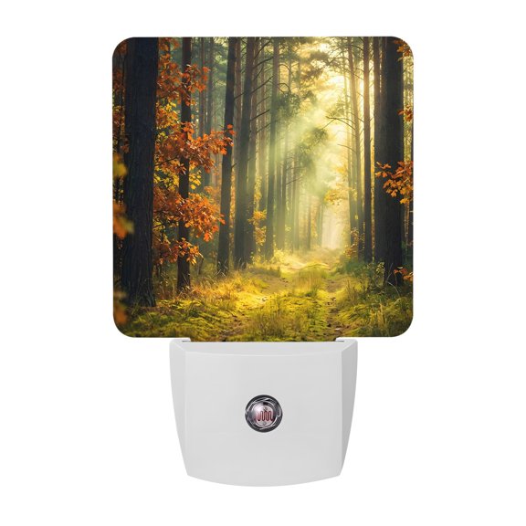 Enchanted Forest LED Night Light, Fall Nature Sunlight Sunbeams Path Night Lights plug into Wall with Smart Sensor Dusk to Dawn Sensor for Nursery Bedroom 2.95x4.5in