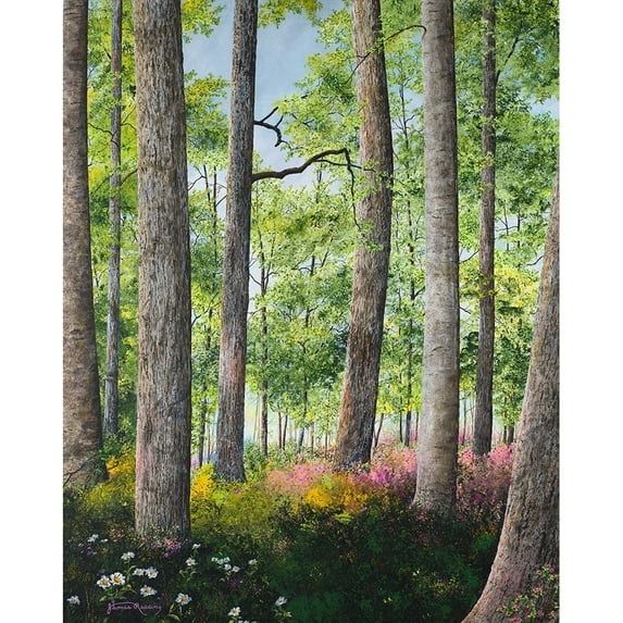 Enchanted Forest Poster Print by James Redding