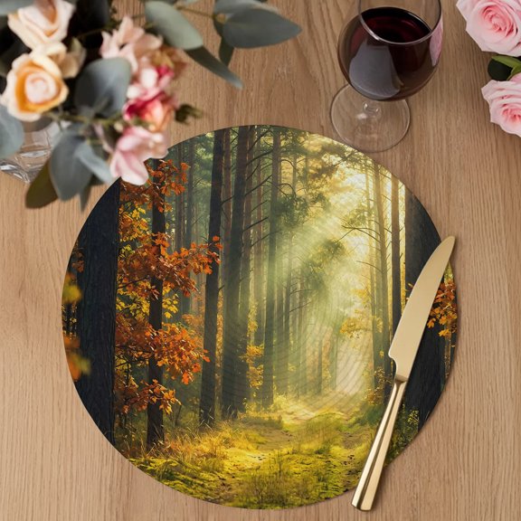 Enchanted Forest Round Braided Placemats Set of 2, Fall Nature Sunlight Sunbeams Path Heat Insulation Place Mats Washable Non-Slip Table Mats for Kitchen Dining Party, 13 Inches