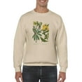 thumbnail image 1 of Enchanted Garden 3. Sweatshirt Men -Sydenham Edwards Designs, Male Medium, 1 of 4