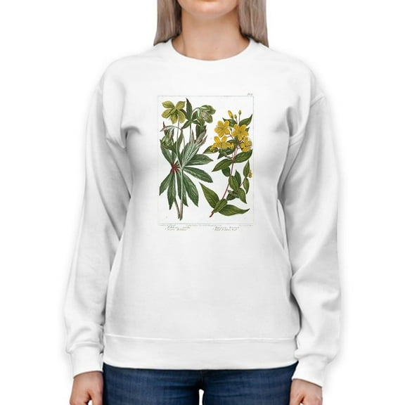 Enchanted Garden 3. Sweatshirt Women -Sydenham Edwards Designs, Female XX-Large