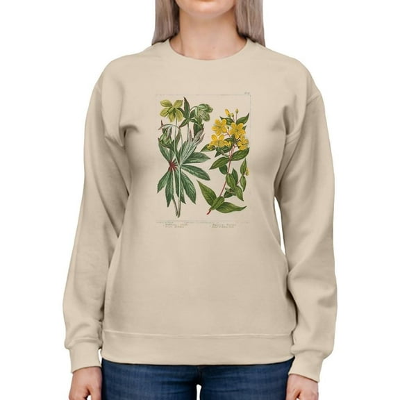 Enchanted Garden 3. Sweatshirt Women -Sydenham Edwards Designs, Female x-Large