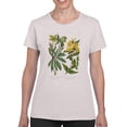 thumbnail image 1 of Enchanted Garden Iii T-Shirt Women -Sydenham Edwards Designs, Female XX-Large, 1 of 4